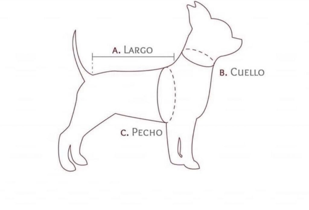 Como medir a tu perrito